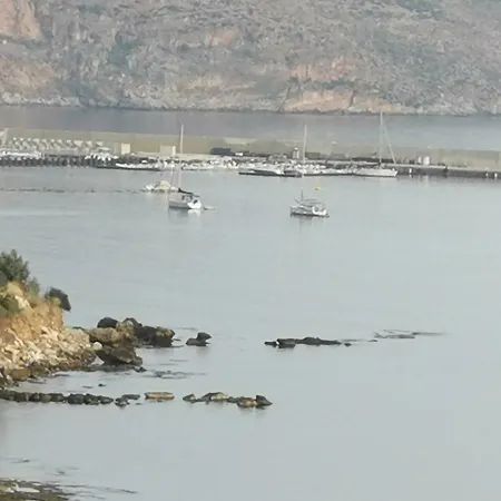 Del Golfo *